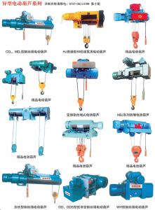 異型電動葫蘆 異型電動葫蘆